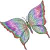 Butterfly 15